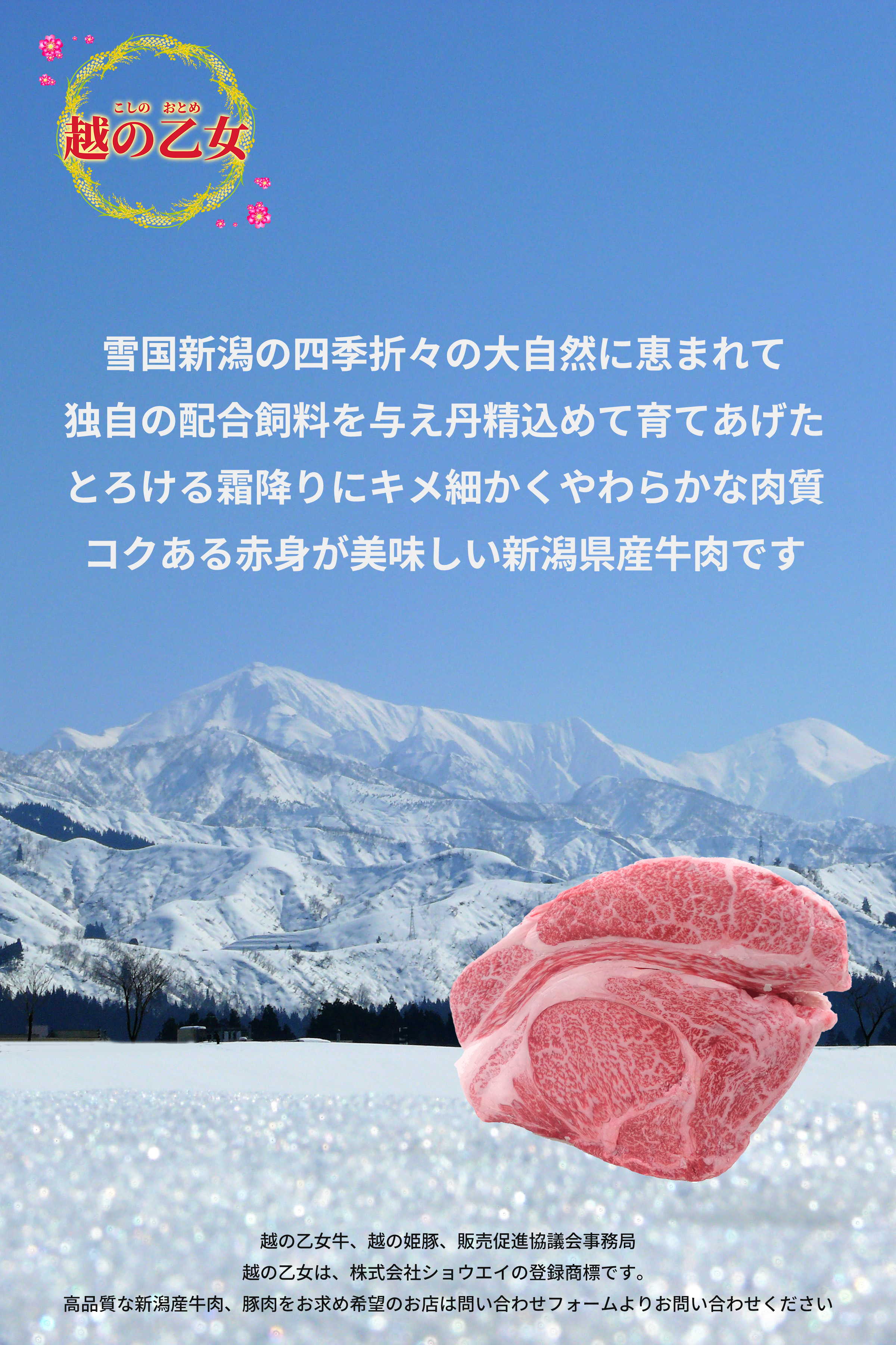 越の乙女牛は雪国新潟の四季折々の大自然に恵まれて独自の配合飼料を与え丹精込めて育てあげたとろける霜降りにキメ細かくやわらかな肉質コクある赤身が美味しい新潟県産牛肉です
