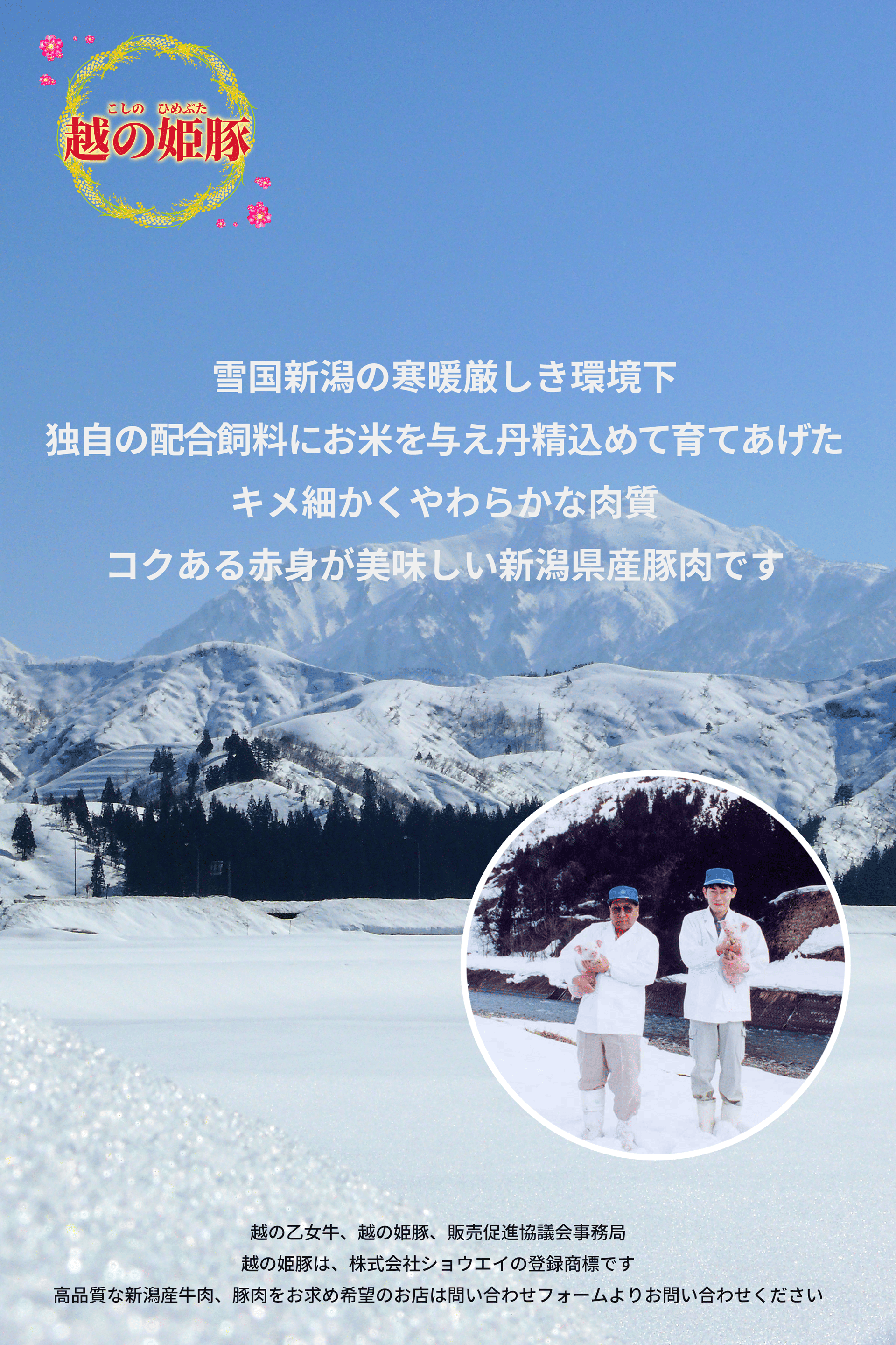 越の姫豚は雪国新潟の寒暖厳しき環境下独自の配合飼料にお米を与え丹精込めて育てあげたキメ細かくやわらかな肉質コクある赤身が美味しい新潟県産豚肉です